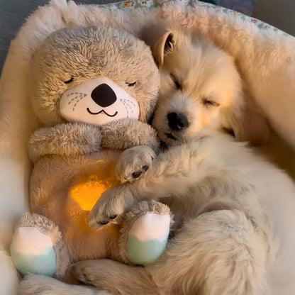 Breathing Teddy Bear with Soothing Music, Comfort Plush